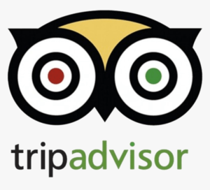 Trip Advisor Icon